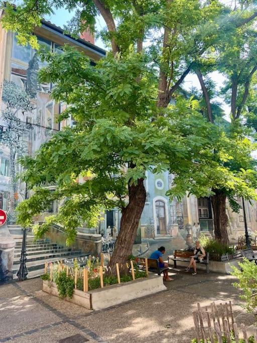 Soho - Le Corner Montpellier Lejlighed Eksteriør billede